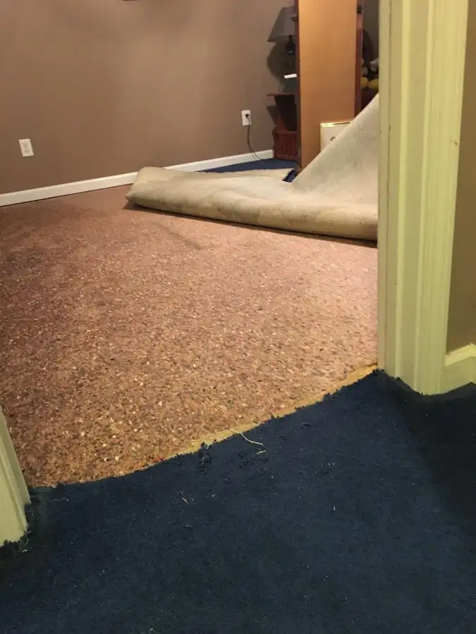 Carpet pad removal revealing water damage during Drying & Dehumidification in Wollochet